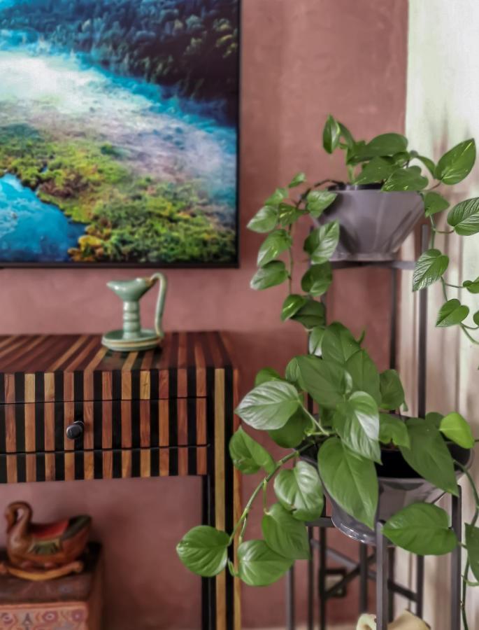 Auberge de jeunesse Teddy Pirate - Coliving à Taghazout Extérieur photo