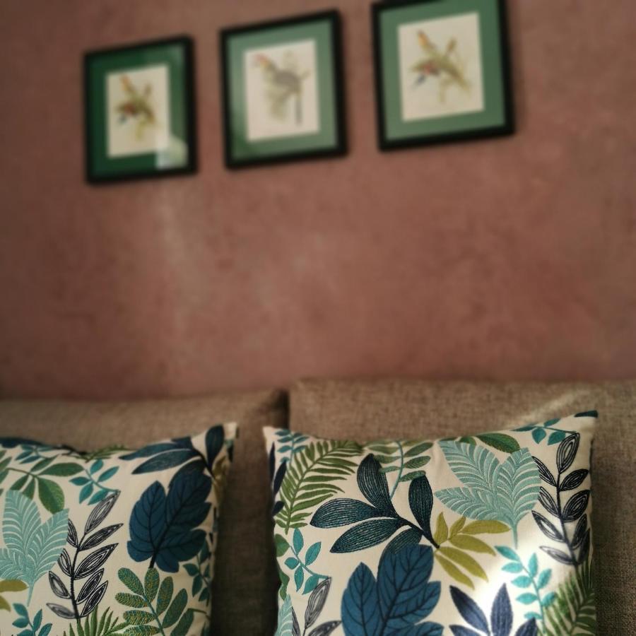 Auberge de jeunesse Teddy Pirate - Coliving à Taghazout Extérieur photo