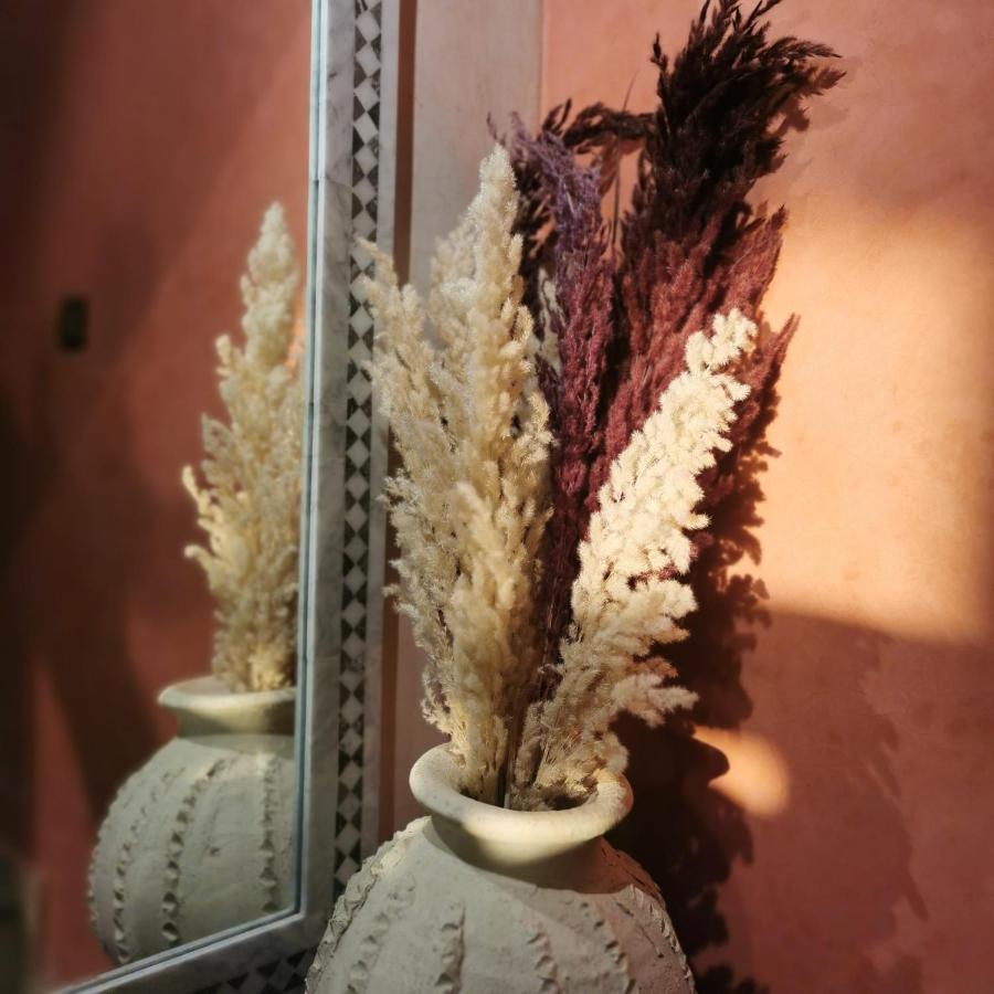 Auberge de jeunesse Teddy Pirate - Coliving à Taghazout Extérieur photo